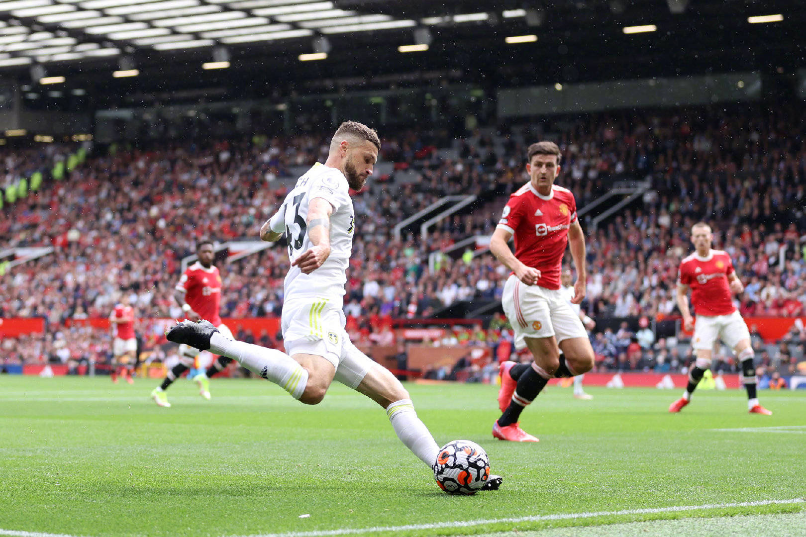 球迷们不禁 球迷们不禁