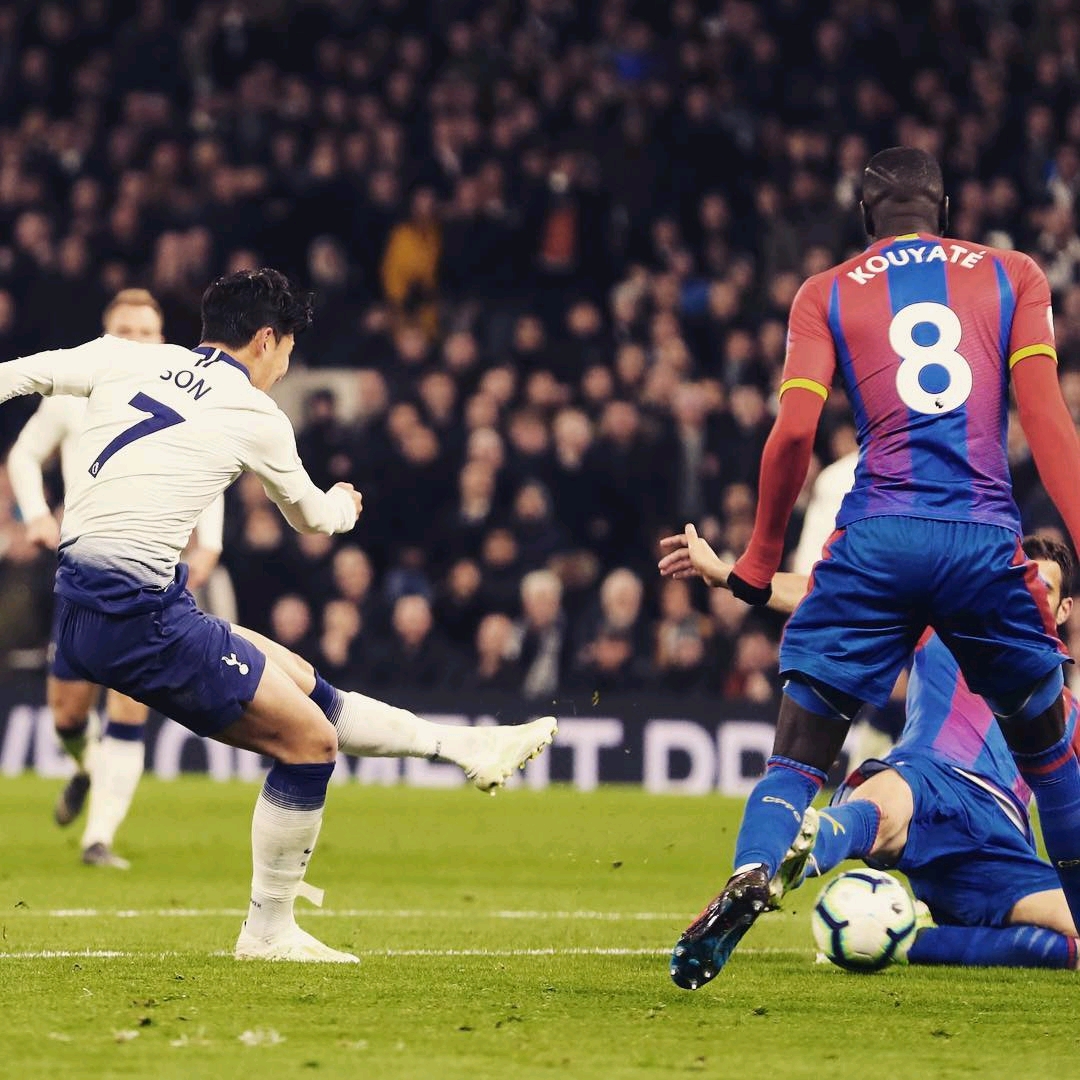 以其迅猛的 以其迅猛的